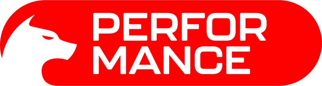 Performance